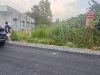 Bán đất Củ Chi, lô đất 1 sẹc Đỗ Đăng Tuyển, diện tích 139m, full thổ cư, xã An Nhơn Tây