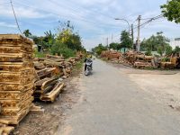 Đất Củ Chi, lô đất đường nhựa xe tải, diện tích 815 m2 full thổ , xã Tân Thạnh Đông, huyện Củ Chi, Hồ Chí Minh.