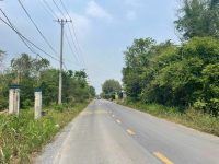 Bán đất Củ Chi, lô đất MT đường Bàu Lách, diện tích 125m, full thổ, xã Nhuận Đức.