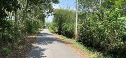 Bán đất Củ Chi, lô đất 2 mặt tiền đường Gốc Rưng, diện tích 2023m2, có 500m2 thổ cư, xã An Nhơn Tây
