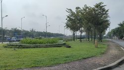 Bán đất Củ Chi, lô đất mặt tiền đường 155 nằm cạnh Hóc Môn, DT 564m2 100% thổ cư), xã Bình Mỹ